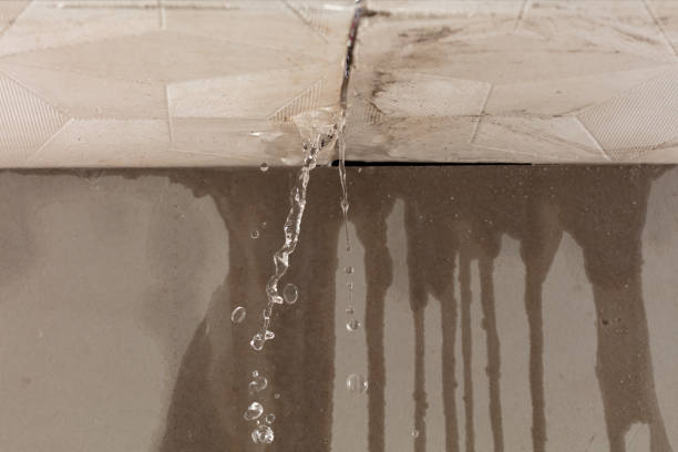 Professional Structural Drying technician working in Long Island, ME